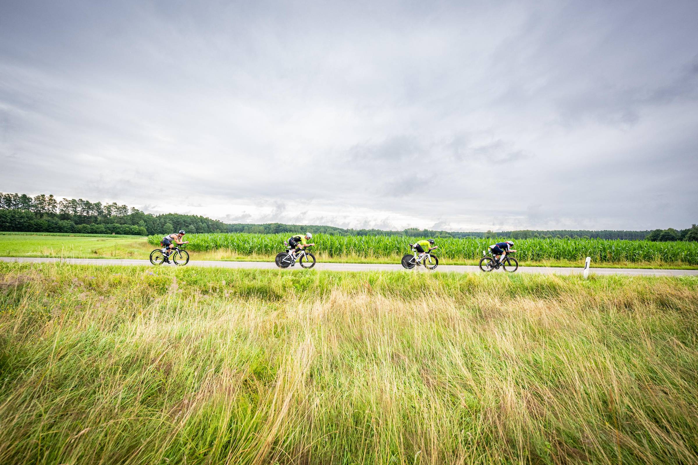 Pillars of Successful Training (part two)
